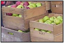 Apple Crates